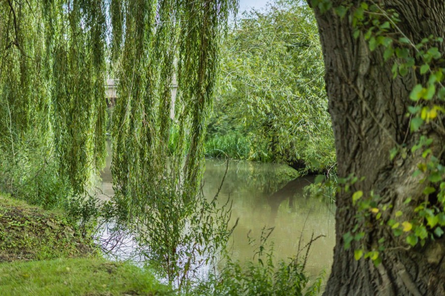 Images for Dorchester on Thames, OX10 7JR