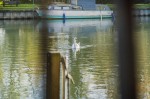 Images for Fairlawn Wharf, Abingdon