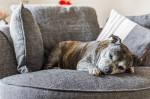 Images for The Street, Ewelme, Wallingford, OX10 6HQ