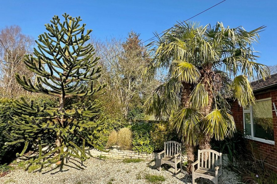 Images for Bell Lane, Brightwell-cum-Sotwell, Wallingford, OX10 0QE