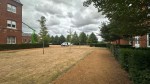Images for Ipsden Court, Cholsey, OX10 9GD